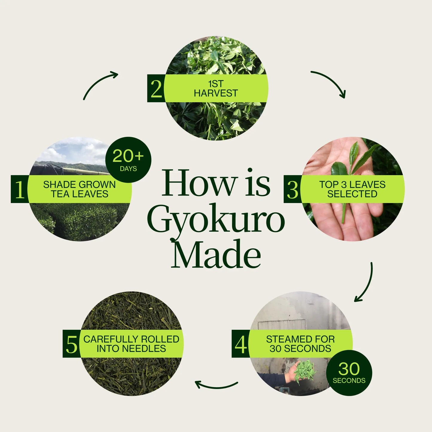 Gyokuro Kagoshima Sasa Hime