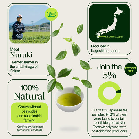 Premium matcha Chiran grönt te