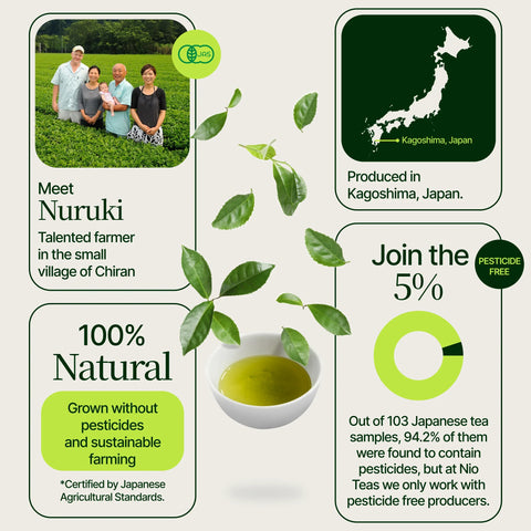 Premium matcha Chiran grönt te