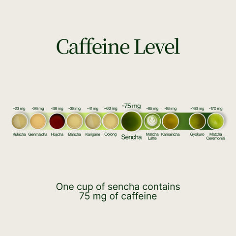 Sencha Okumidori grönt te