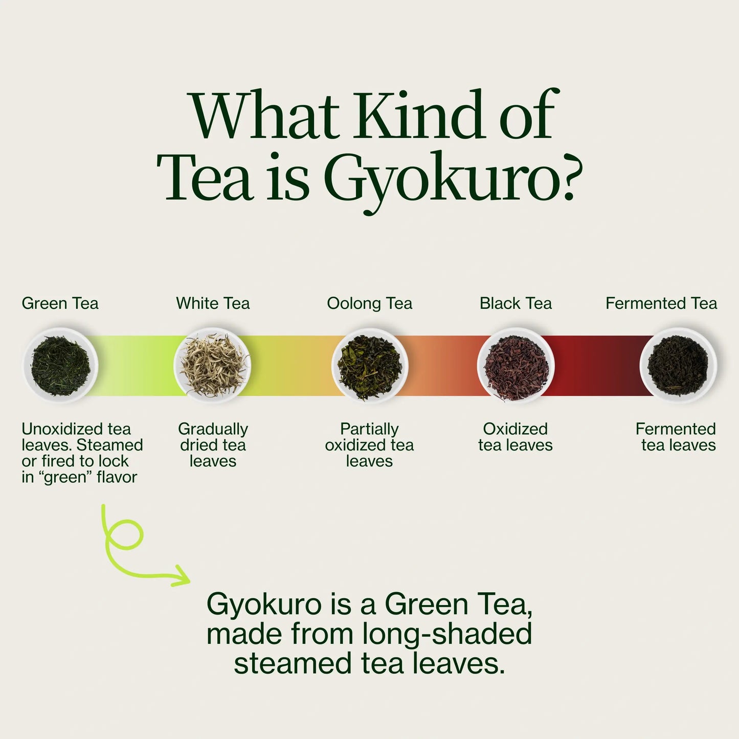 Gyokuro Kagoshima Sasa Hime