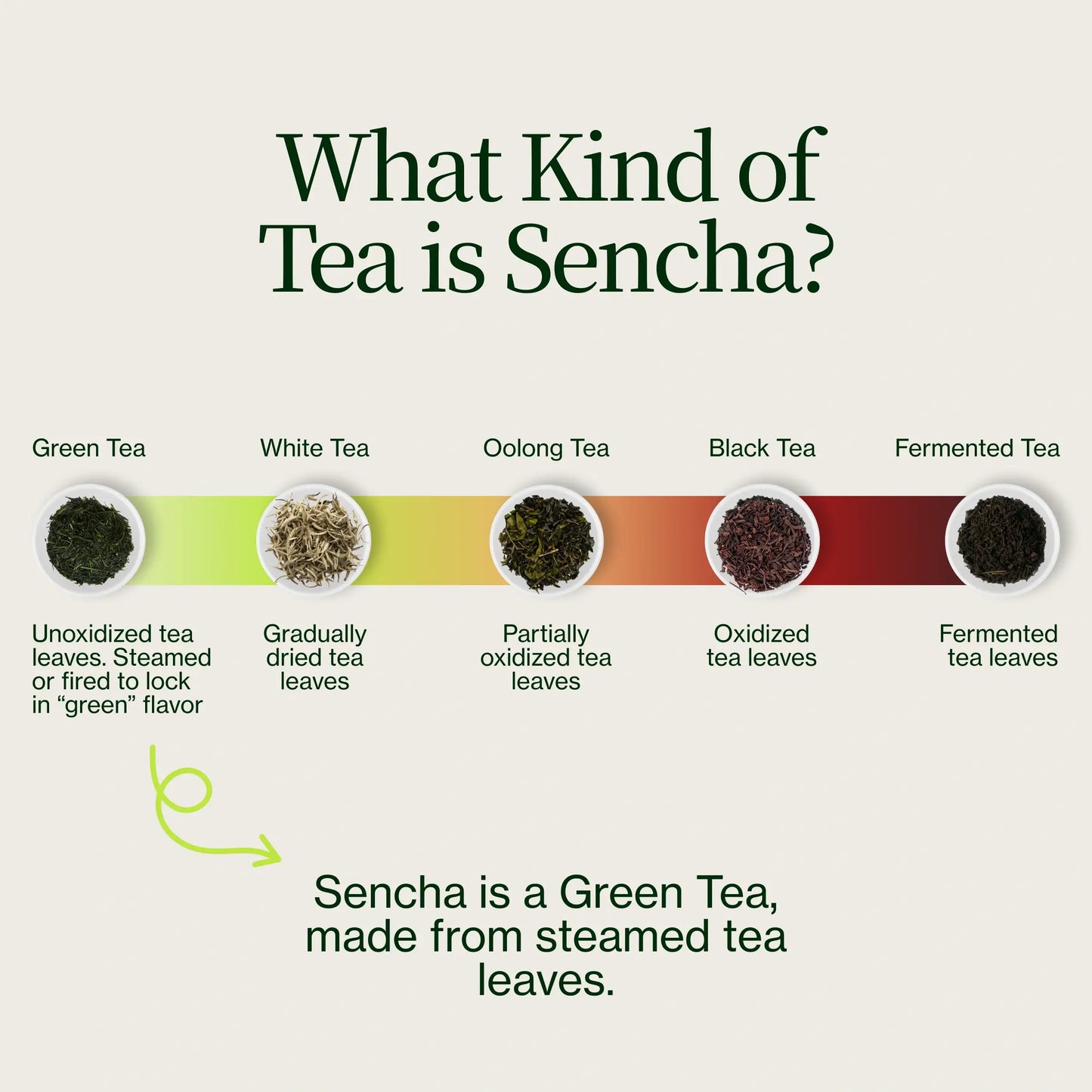 Sencha Henta Kirishima Tea
