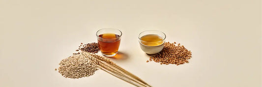 Mugicha vs Sobacha: Which Roasted Japanese Drink Should You Choose?