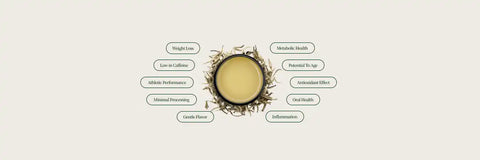 10 White Tea Benefits You Didn’t Know About