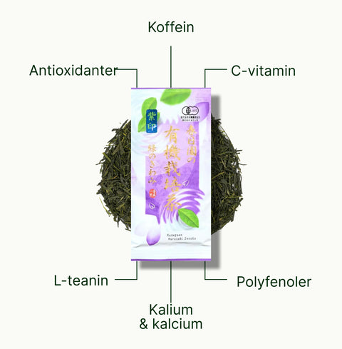 6ad76b929ea87_nio-teas-fukamushi-sencha-kagoshima-murasaki-nutritional-benefits_b8accd4b-b315-4446-8079-fc8ea2b328c4_sv.webp