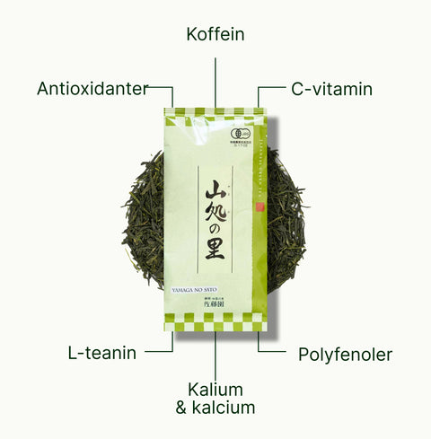 6ad76b939691f_nio-teas-sencha-shizuoka-yamaga-no-sato-nutritional-benefits_54f5df69-c4c4-4e27-9a0c-6b490a95922a_sv.webp