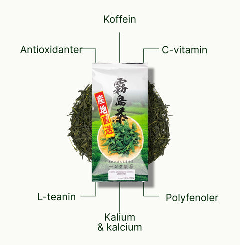 6ad76b9a77e58_nio-teas-sencha-okumidori-green-tea-nutritional-benefits_59c05332-aae2-4666-8df2-cf4a7bfcea3b_sv.webp
