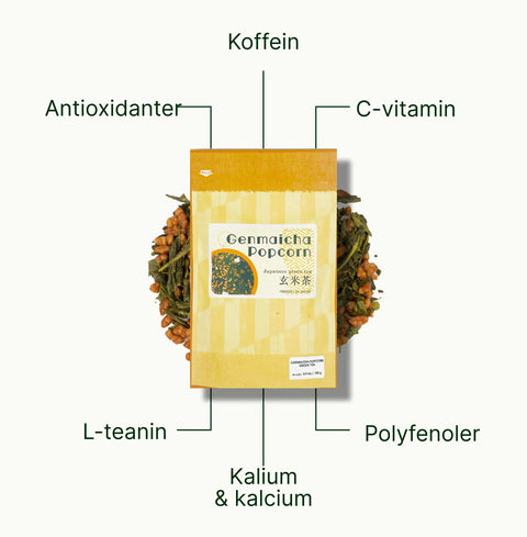 6ad76b9fbf6f1_nio-teas-genmaicha-popcorn-green-tea-nutritional-benefits_eaef270b-f2b9-4948-8420-58984f473842_sv.webp