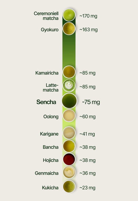 6ad76c43135e0_caffeine_chart_sencha_sv.webp