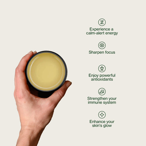 Miyazaki High Mountain Oolong -te