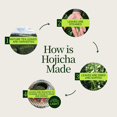 Rostat Hojicha Grönt Te Noike