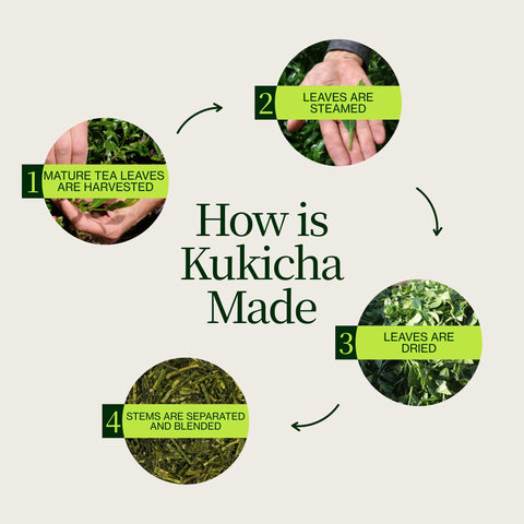 Chanoka Kukicha grönt te