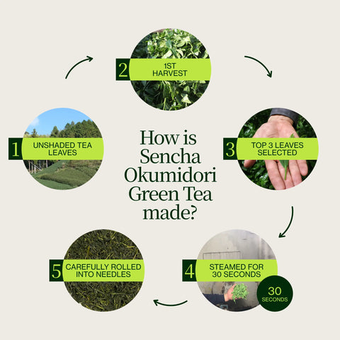 Sencha Okumidori grönt te