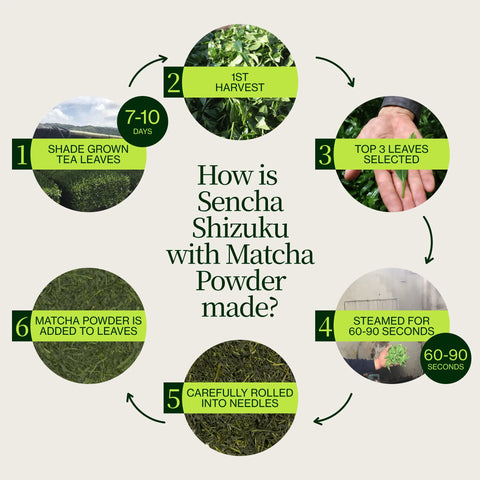 Sencha Shizuku med Matchapulver