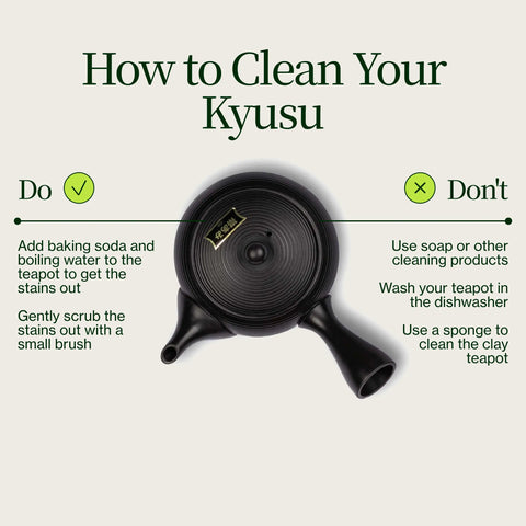 Tokoname Kyusu Fukamushi tekanna