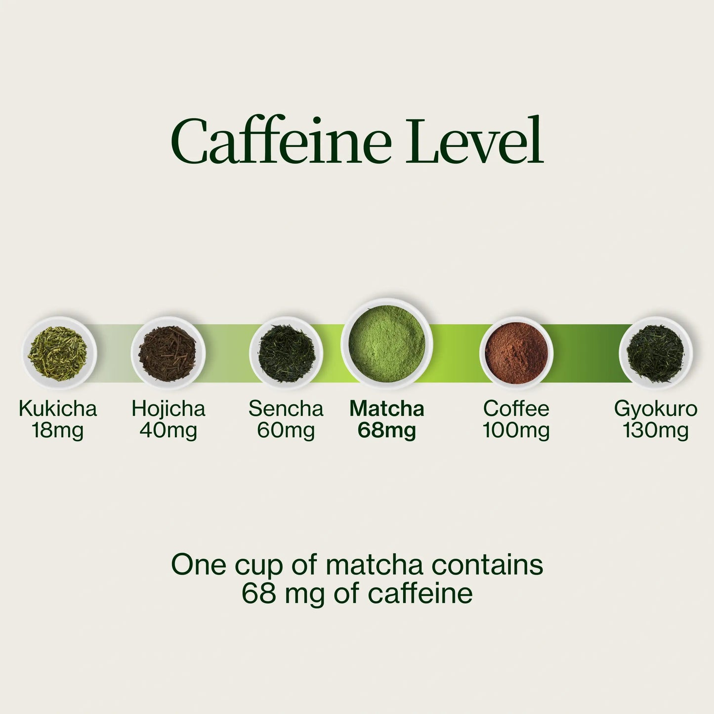 Asamiya Saemidori Matcha