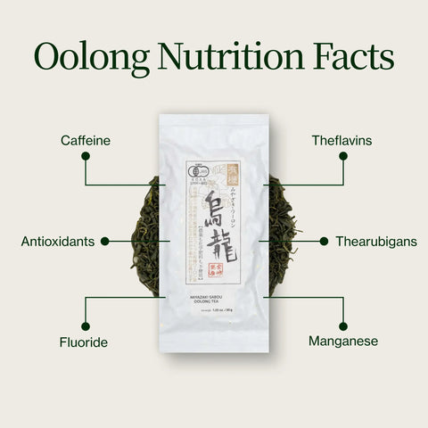 Miyazaki High Mountain Oolong -te