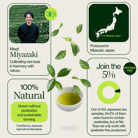 Miyazaki High Mountain Oolong -te
