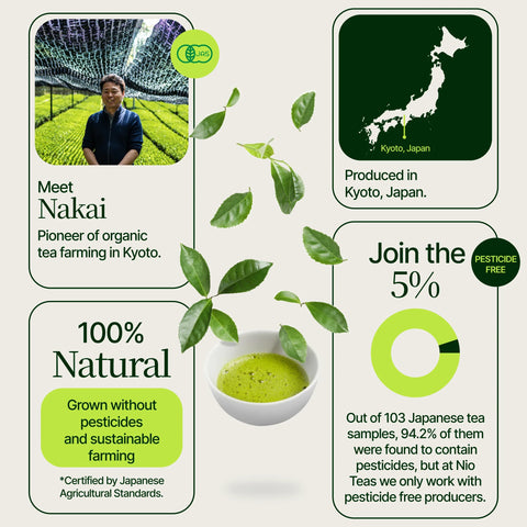 Washimine ceremoniellt Matcha -te