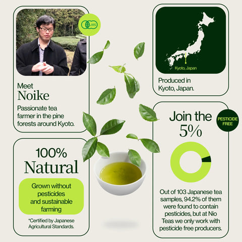 Rostat Hojicha Grönt Te Noike