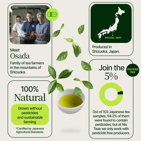 Japanskt Matcha -te Osada Okumidori