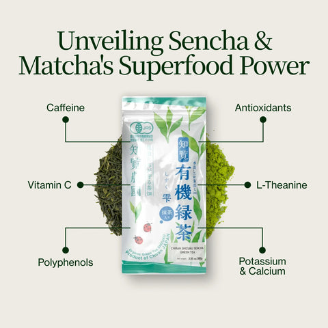 Sencha Shizuku med Matchapulver
