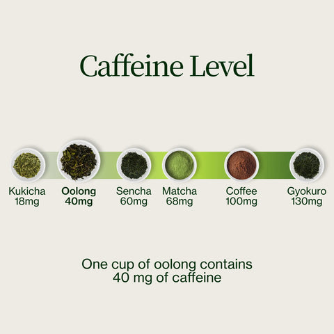 Miyazaki High Mountain Oolong -te