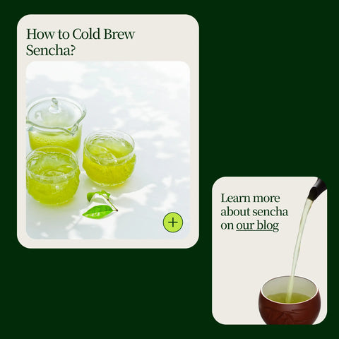 Sencha Shizuku med Matchapulver