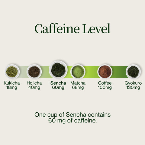 Sencha Shizuku med Matchapulver