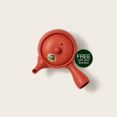 A red ceramic teapot with a lid and small spout, shown on a light beige background with a green circular badge that reads 'FREE with your first box'.