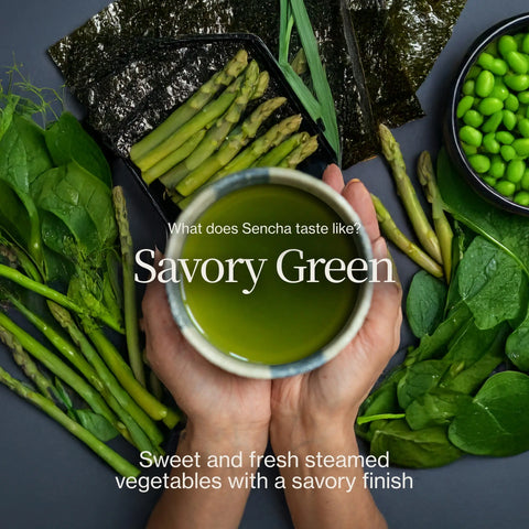 Sencha Shizuku med Matchapulver