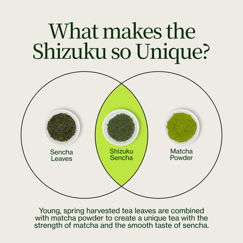 Sencha Shizuku med Matchapulver