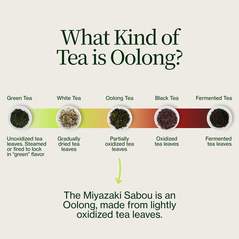 Miyazaki High Mountain Oolong -te