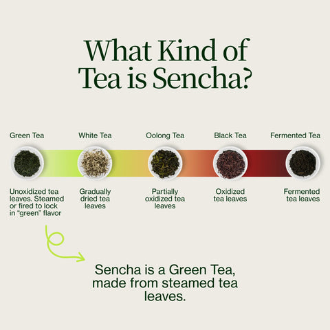 Sencha Shizuku med Matchapulver