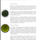 Secrets of Japanese Green Tea: the ultimate Japanese Tea Book