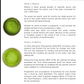 Secrets of Japanese Green Tea: the ultimate Japanese Tea Book