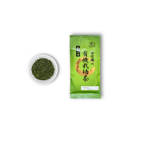Månatlig teklubb med gratis Kyusu-tekanna